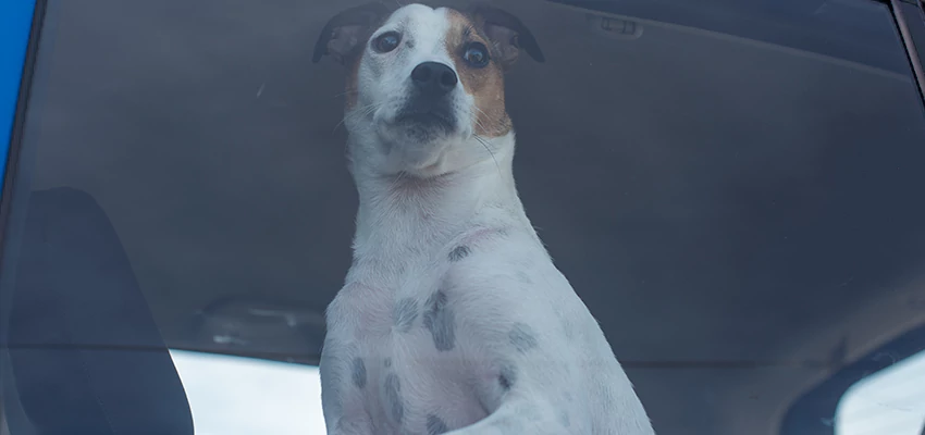 Car Lockout Solutions in San Marino, California